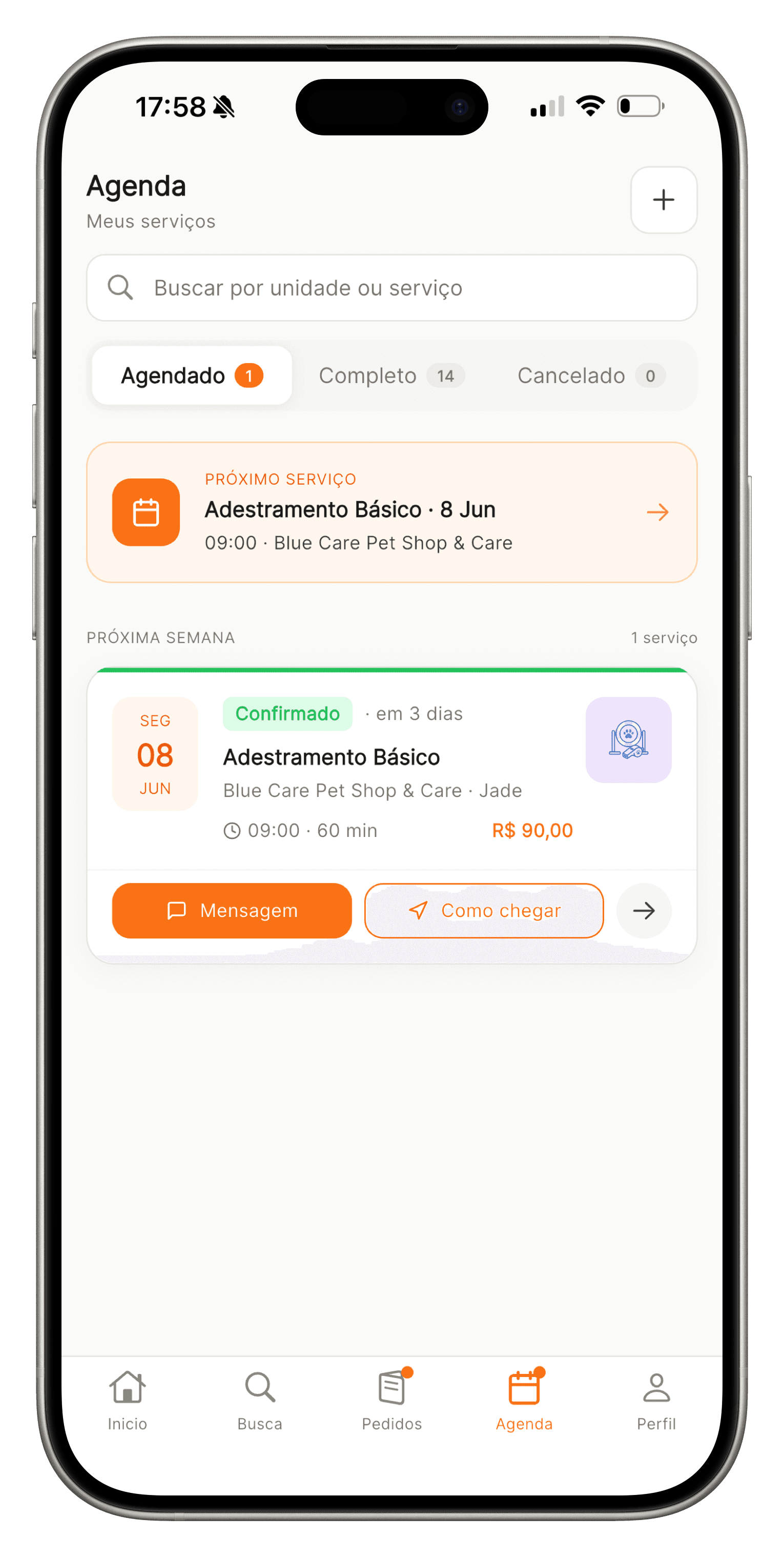 Tela de agenda do app do tutor com próximo serviço e confirmação